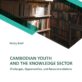 Policy Brief on on “CAMBODIAN YOUTH AND THE KNOWLEDGE SECTOR: Challenges, Opportunities, and Recommendations.”
